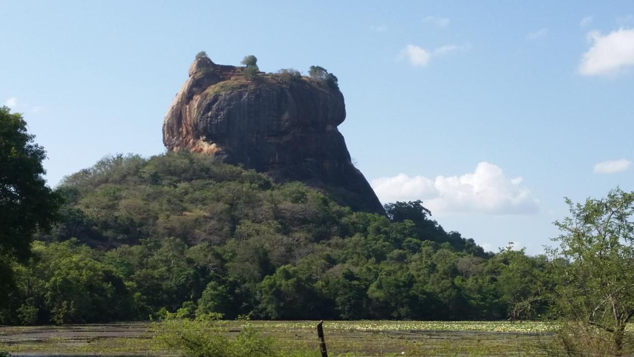 Rho Sigiriya Lake Edge Retreat Kibissa Exterior foto