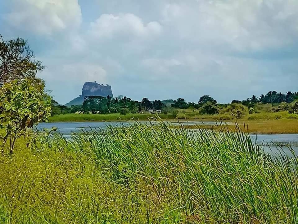 Rho Sigiriya Lake Edge Retreat Kibissa Exterior foto