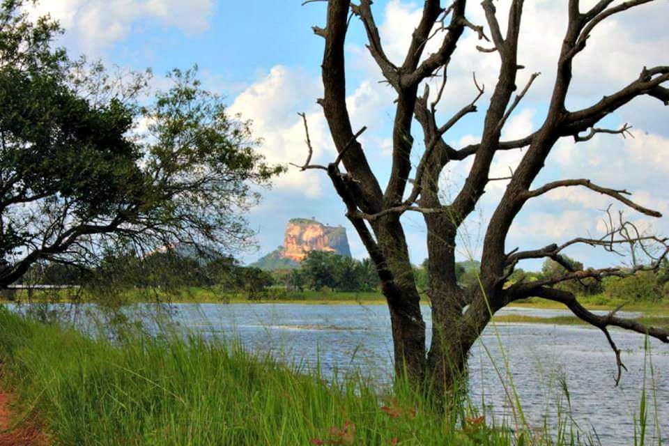 Rho Sigiriya Lake Edge Retreat Kibissa Exterior foto